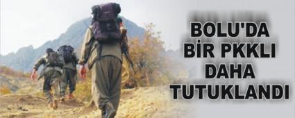BOLU'DA B�R PKKLI DAHA TUTUKLANDI