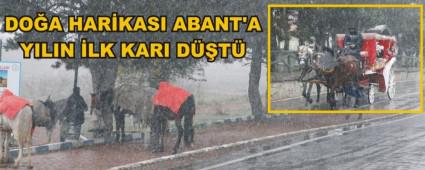 DO�A HAR�KASI ABANT'A YILIN �LK KARI D��T�