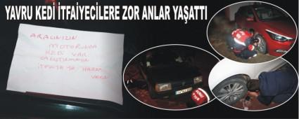 YAVRU KED� �TFA�YEC�LERE ZOR ANLAR YA�ATTI