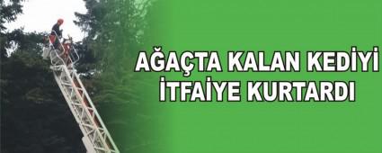 A�A�TA KALAN KED�Y� �TFA�YE KURTARDI 