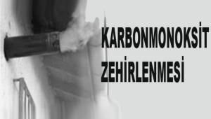 BOLU'DA KARBONMONOKS�T ZEH�RLENMES�