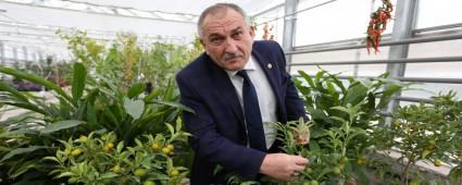 PARK VE BAH�ELERDE YEN�L�K �ST�NE YEN�L�K