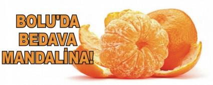BOLU'DA BEDAVA MANDAL�NA!