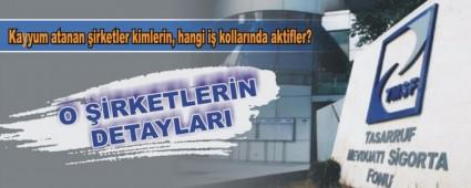 Kayyum atanan �irketler kimlerin, hangi i� kollar�nda aktifler?