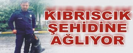 K�br�sc�k bu haberle y�k�ld�
