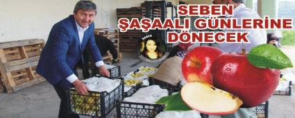 SEBEN �A�AALI G�NLER�NE D�NECEK