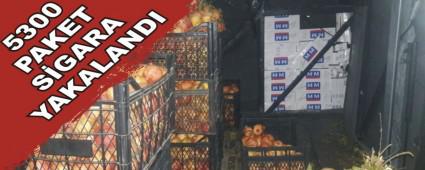 5300 PAKET S�GARA YAKALANDI