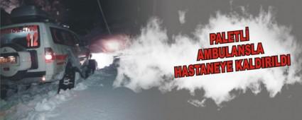 PALETL� AMBULANSLA HASTANEYE KALDIRILDI