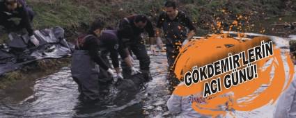 Erkek cesedinin kimli�i belli oldu