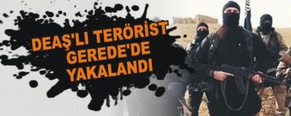 DEA�'LI TER�R�ST GEREDE'DE YAKALANDI