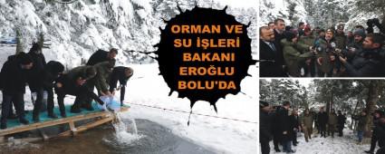 ORMAN VE SU ��LER� BAKANI ERO�LU BOLU'DA