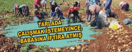 TARLADA �ALI�MAK �STEMEY�NCE, BABASINA �FT�RA ATMI�