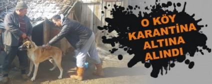 O K�Y KARANT�NA ALTINA ALINDI