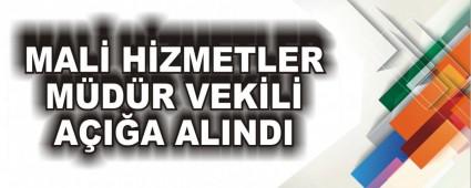 MAL� H�ZMETLER M�D�R VEK�L� A�I�A ALINDI