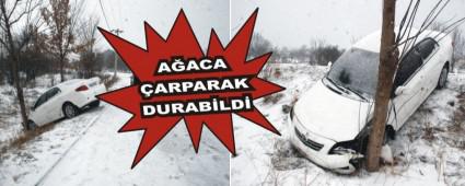 A�ACA �ARPARAK DURAB�LD�