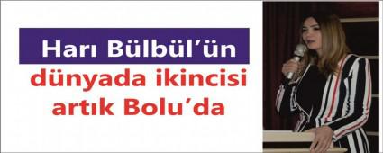HARI B�LB�L BOLU'DA Y�KSELD�