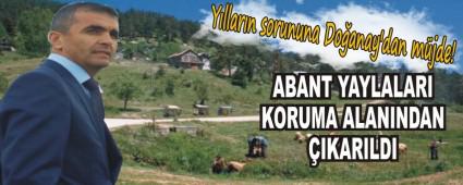 Y�llar�n sorununa Do�anay'dan m�jde!