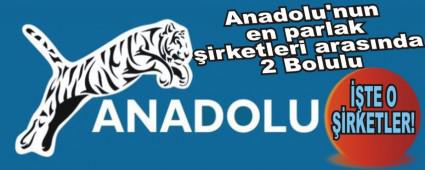 Anadolu'nun en parlak �irketleri aras�nda 2 Bolulu
