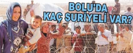 BOLU'DA KA� SUR�YEL� VAR?