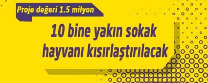 10 bine yak�n sokak hayvan� k�s�rla�t�r�lacak