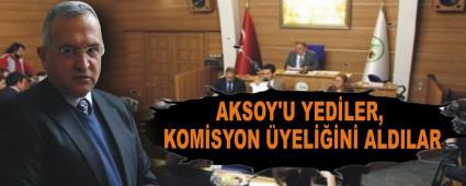 AKSOY'U YED�LER, KOM�SYON �YEL���N� ALDILAR