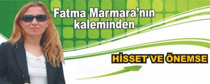 H�SSET VE �NEMSE
