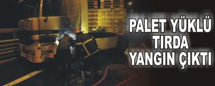 PALET Y�KL� TIRDA YANGIN �IKTI