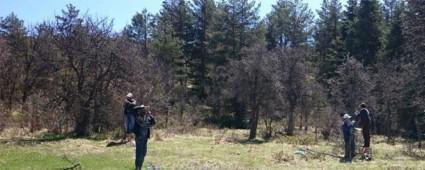 SEBEN'DE AHLAT A�A�LARI ARMUTA D�N���YOR