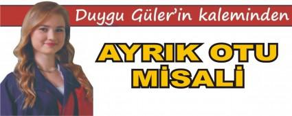 AYRIK OTU M�SAL�