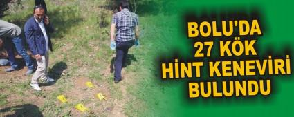 BOLU'DA 27 K�K H�NT KENEV�R� BULUNDU