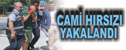 CAM� HIRSIZI YAKALANDI
