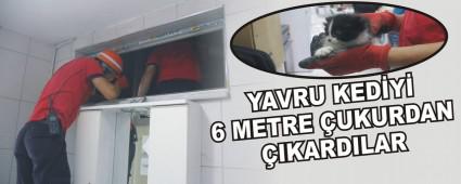 YAVRU KED�Y� 6 METRE �UKURDAN �IKARDILAR