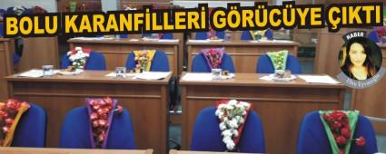 BOLU KARANF�LLER� G�R�C�YE �IKTI