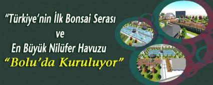 T�rkiye'nin �lk Bonsai Seras� ve En B�y�k Nil�fer Havuzu Bolu\'da Kuruluyor