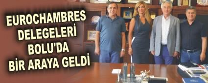 EUROCHAMBRES DELEGELER� BOLU'DA B�R ARAYA GELD�