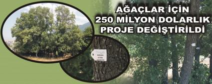 A�A�LAR ���N 250 M�LYON DOLARLIK PROJE DE���T�R�LD�