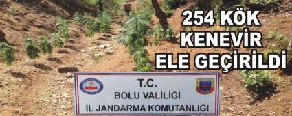 254 K�K KENEV�R ELE GE��R�LD�