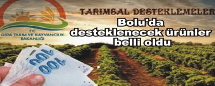 Bolu'da desteklenecek �r�nler belli oldu