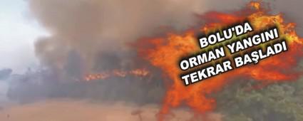 BOLU'DA ORMAN YANGINI TEKRAR BA�LADI