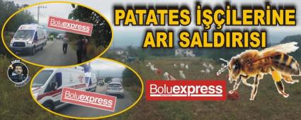 PATATES ����LER�NE ARI SALDIRISI