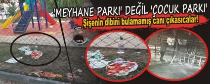�MEYHANE PARKI' DE��L ��OCUK PARKI'