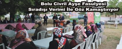 Bolu Civril Ay�e Fasulyesi S�rad��� Verimi �le G�z Kama�t�r�yor