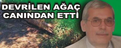 DEVR�LEN A�A� CANINDAN ETT�