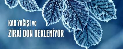 Bolu'da don olay�na dikkat!