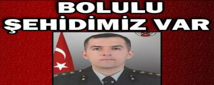 �EH�D�M�Z VAR