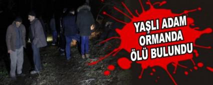 YA�LI ADAM ORMANDA �L� BULUNDU