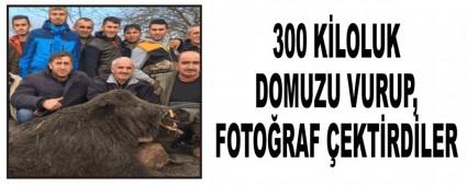 300 K�LOLUK DOMUZU VURUP, FOTO�RAF �EKT�RD�LER