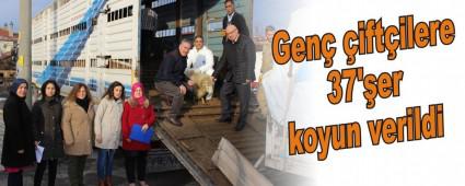 Gen� �ift�ilere 37'�er koyun verildi