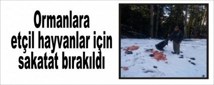 Ormanlara et�il hayvanlar i�in sakatat b�rak�ld�