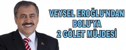 VEYSEL ERO�LU'NDAN BOLU'YA 2 G�LET M�JDES�